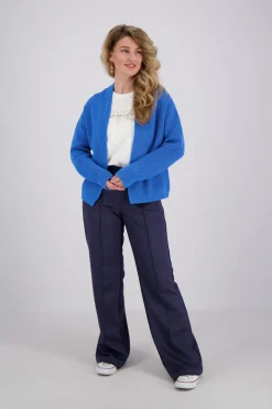 Vest Blauw